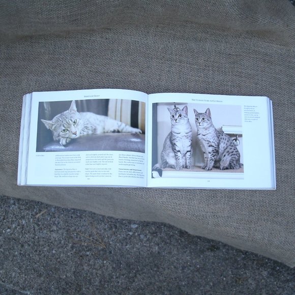 Ultimate Guide to Cat Breeds by Louisa Somerville - Picture 8 of 16